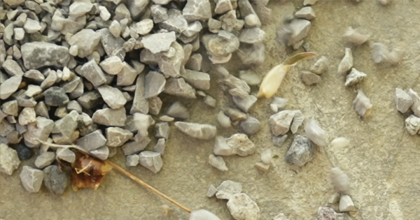 PEBBLEBLOCK: La soluzione naturale e duratura per bloccare la ghiaia nel tuo giardino